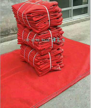 红色密目式蝌蚪在线视频