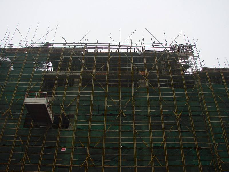 建筑蝌蚪在线视频的小常识