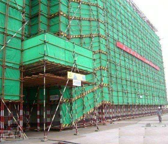 建筑蝌蚪在线视频材质与性能