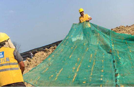 选择小蝌蚪视频黄色下载建筑蝌蚪在线视频的6大优势